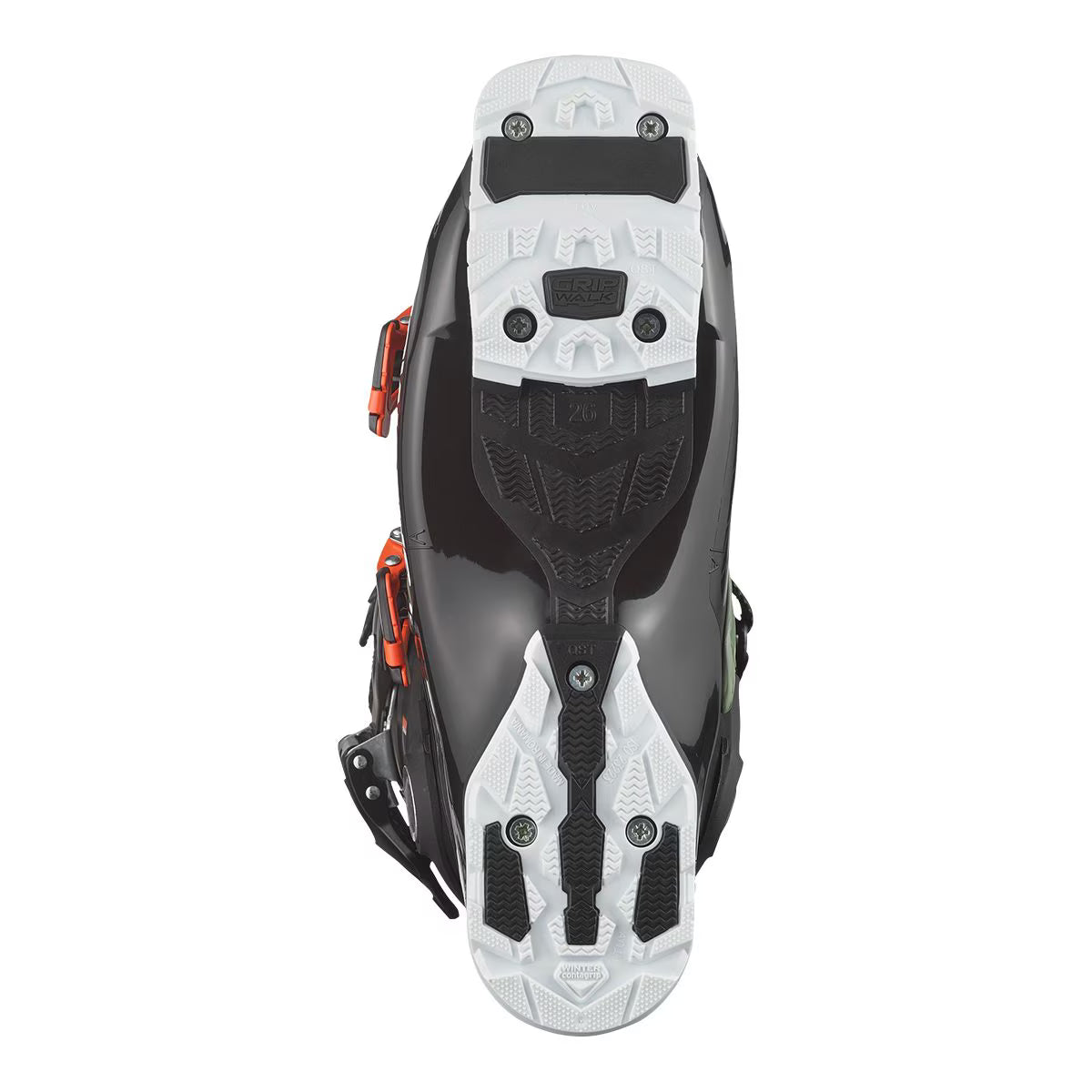 Salomon QST Access 80 GW 2024